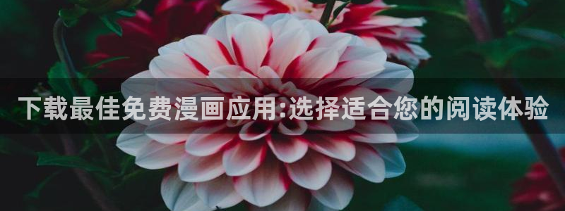 禁漫天堂官方入口网