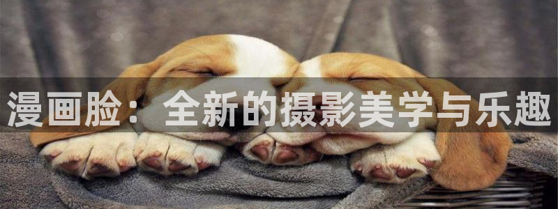禁漫天堂网络