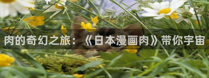 禁漫天堂官方正版