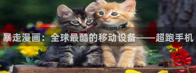 禁漫天堂正版