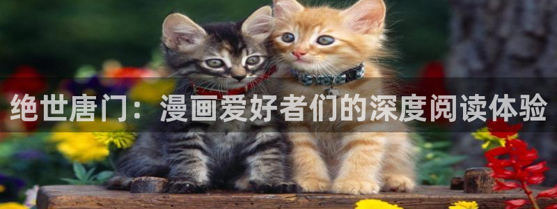 禁漫天堂 最新地址