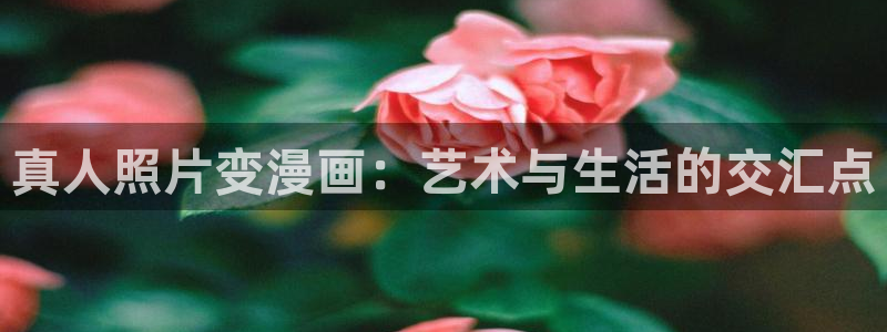 禁漫天堂怎么加速