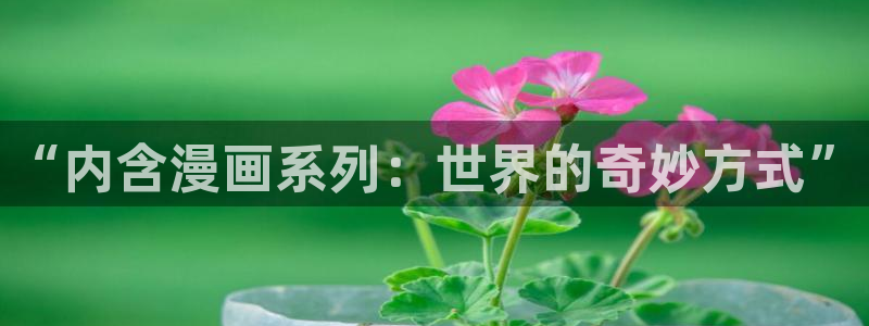 禁漫天堂网战